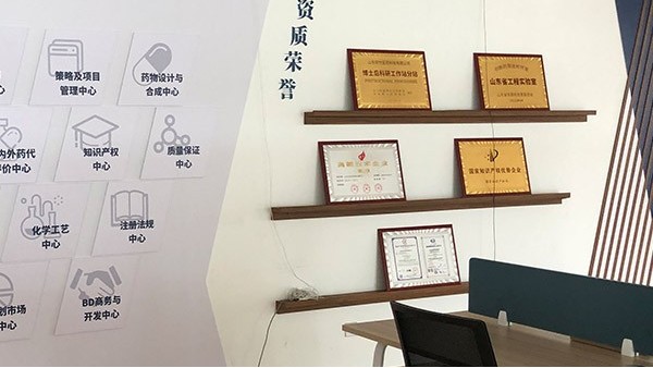 石家庄较大的文化墙展板制作公司_石家庄开云手机登录界面